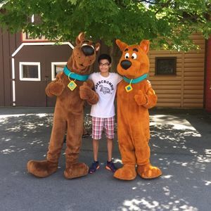 Meet your Posher, Phatt